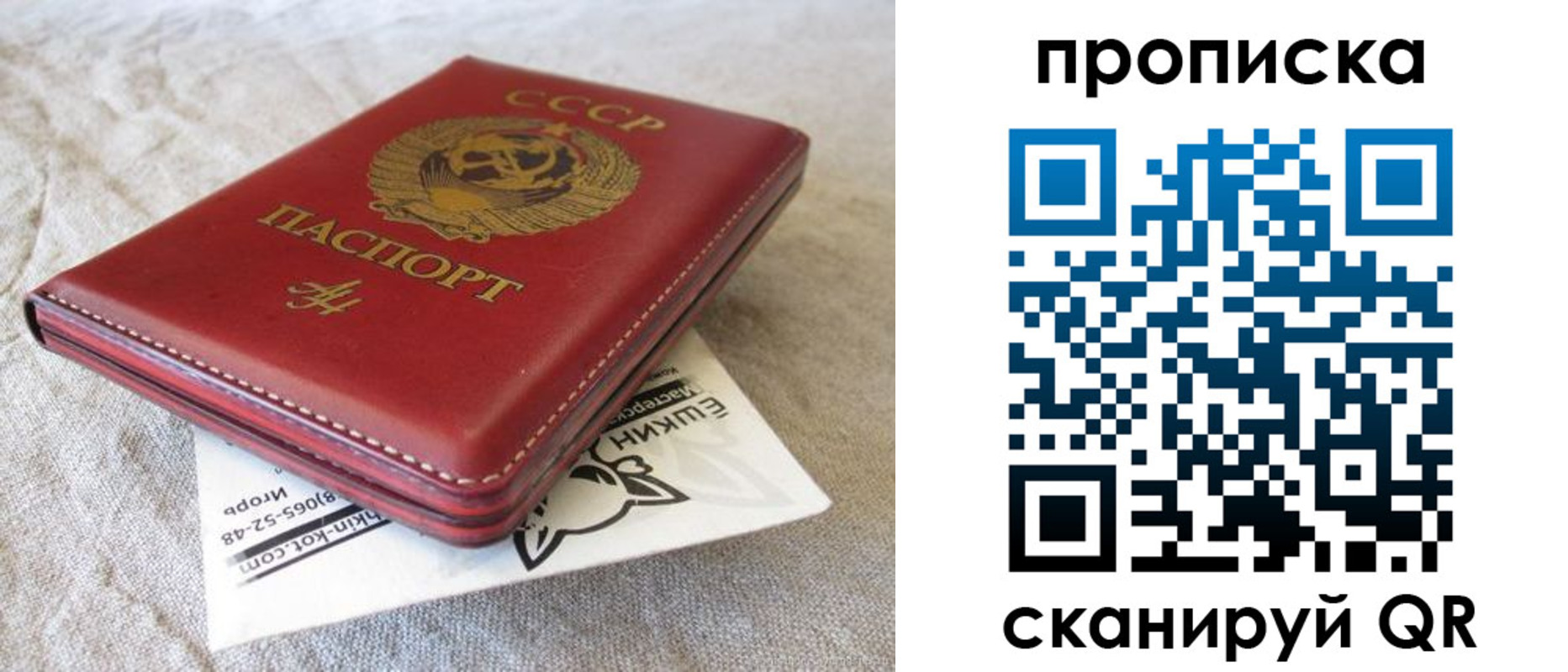 прописка для школы в Богородицке